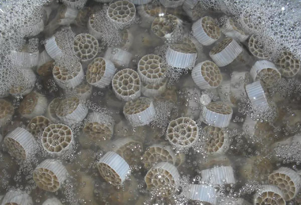 MBBR的原理及特点