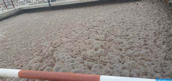 污泥膨胀的原因及解决方法